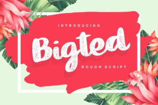 Bigted: A Cheerful Script Font That Makes Campaigns Feel Lighter