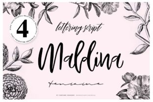 Maldina: A Modern Handwritten Font for Campaign Headlines