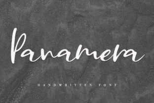 Panamera: A Sweet Script Font for Polished Digital Branding