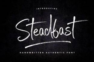 Steadfast: A Sweet, Fashionable Script Font That Actually Works