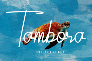 Tambora: A Premium Script Font for Scroll-Stopping Marketing